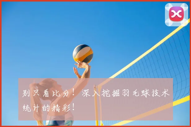 别只看比分!深入挖掘羽毛球技术统计的精彩!